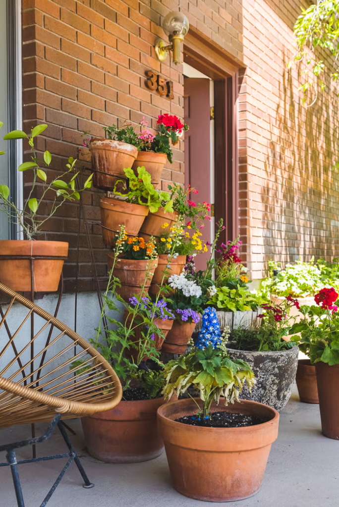 Outdoor Plants