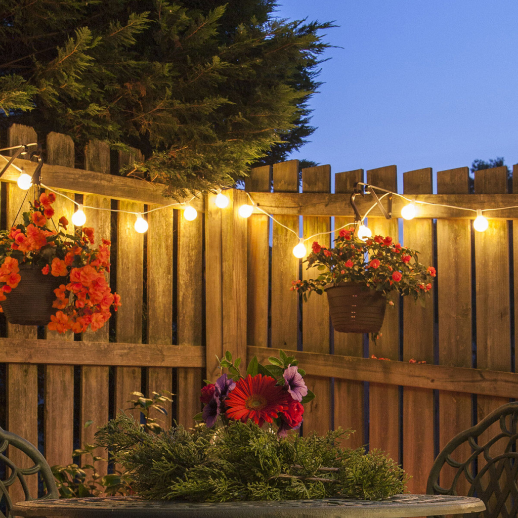 Backyard Fence