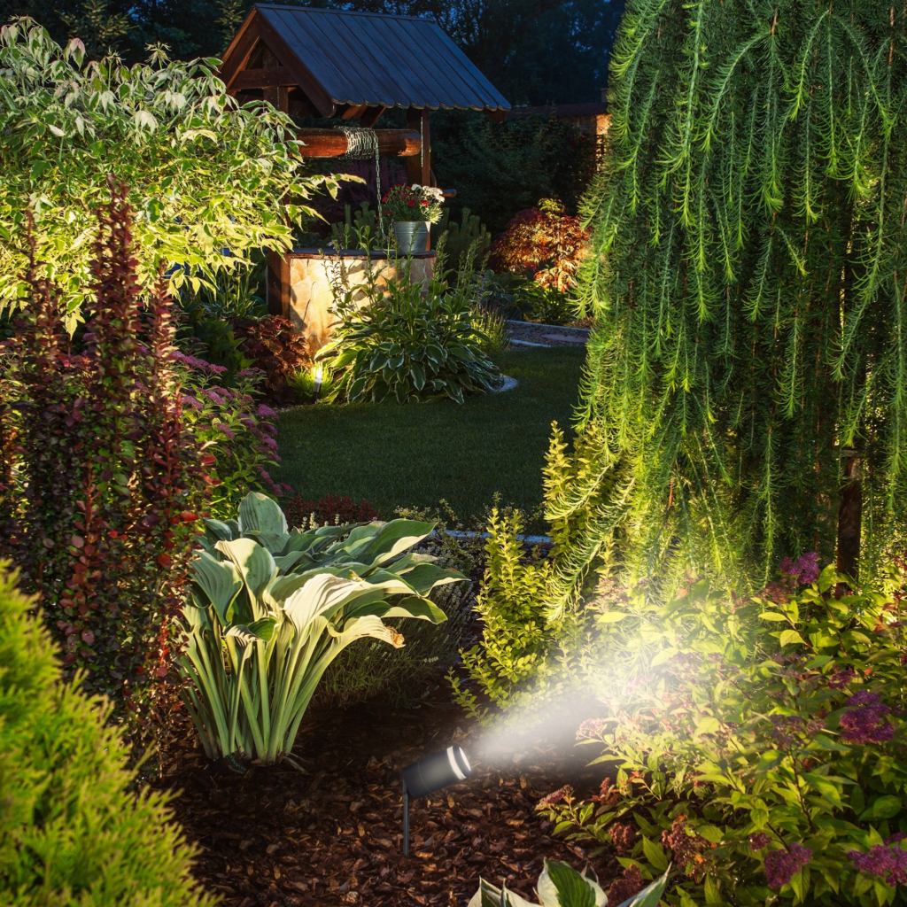 Garden Path Glow