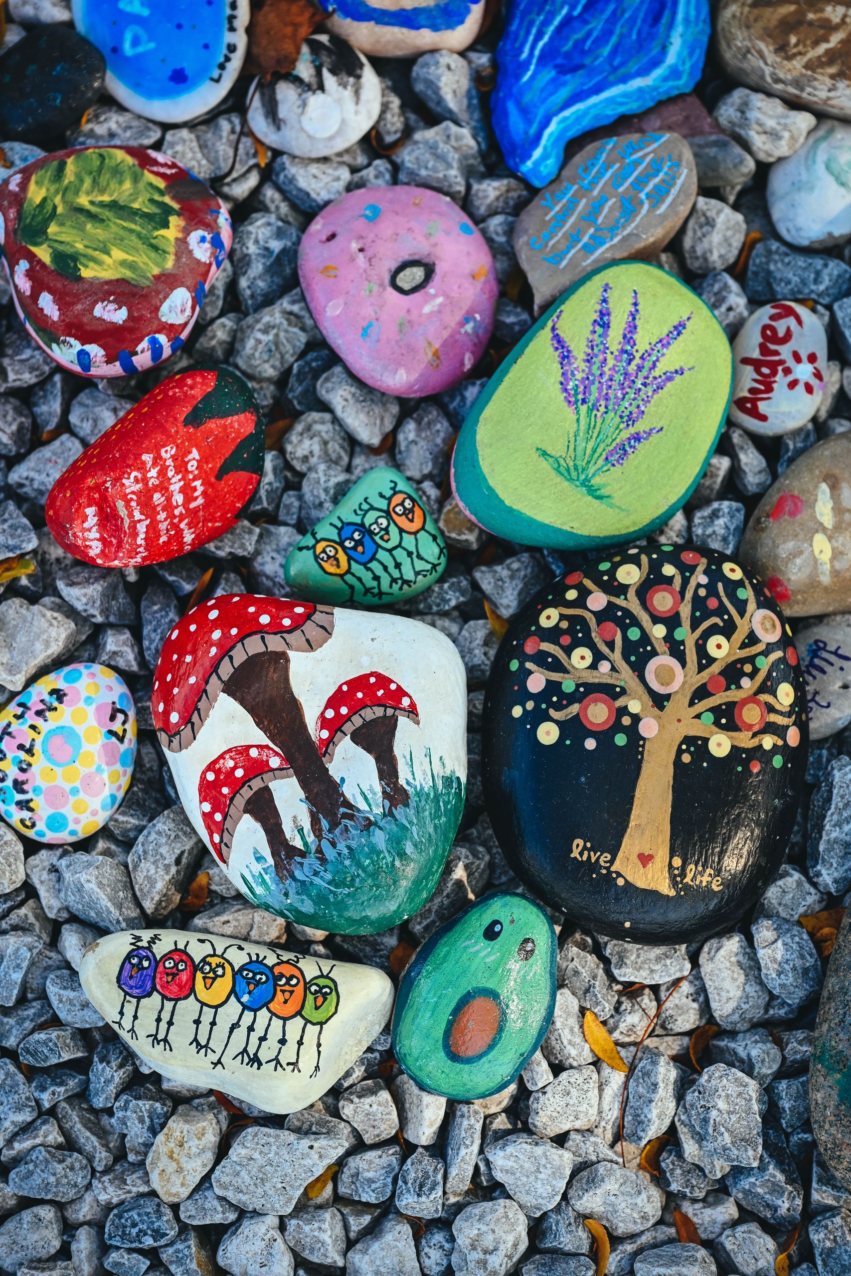 Collection of hand-painted stones with unique artistic designs, perfect for outdoor decoration.