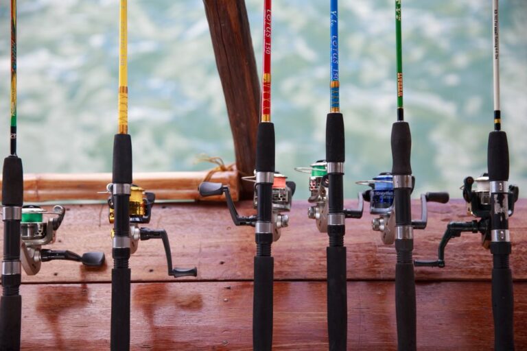 A row of colorful fishing rods with reels lined up neatly on a wooden deck