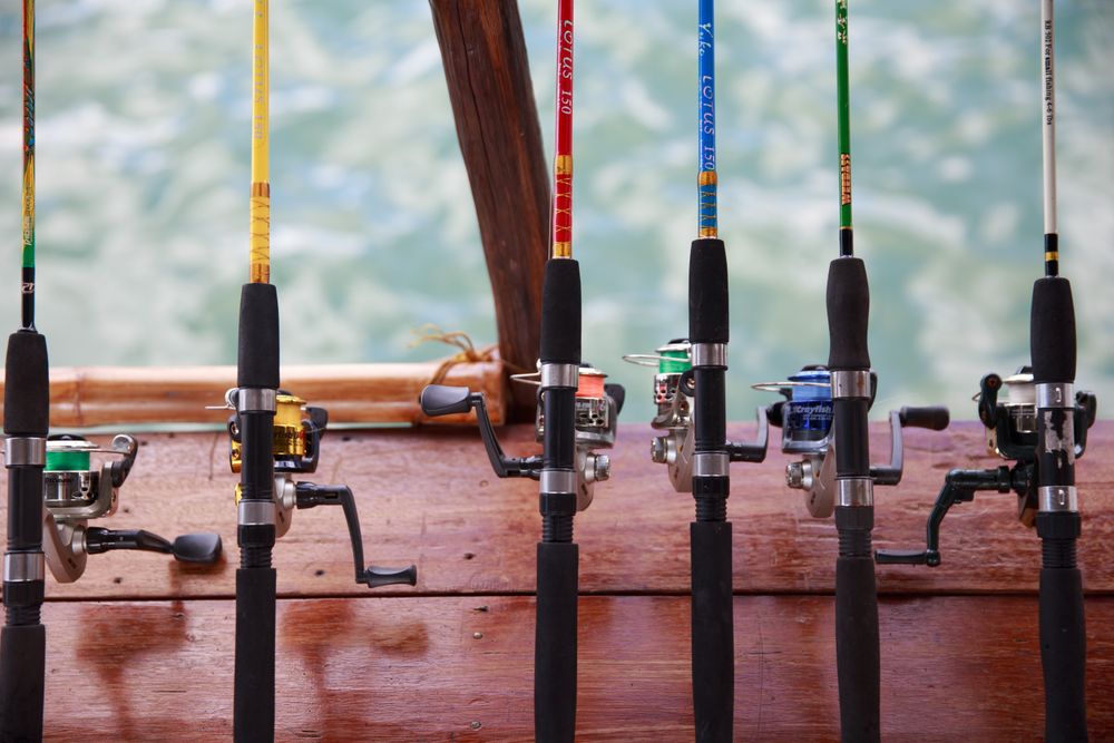 A row of colorful fishing rods with reels lined up neatly on a wooden deck