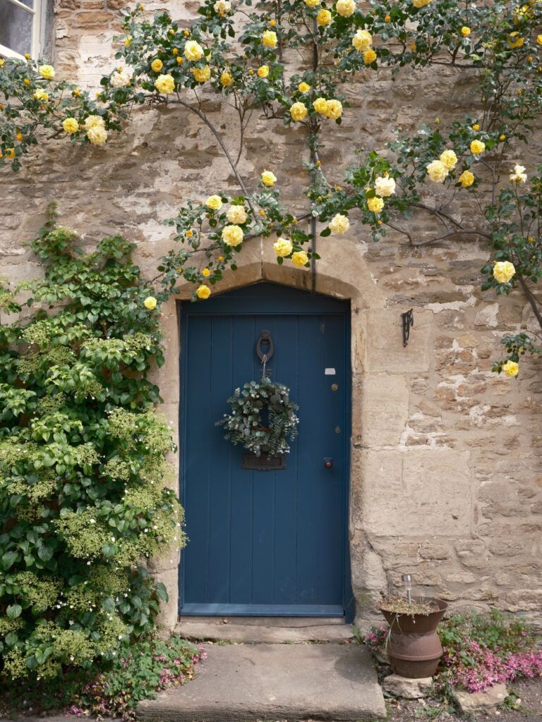 Beautiful blue door adorned with yellow roses in a classic Lacock stone cottage. Stock Photo.