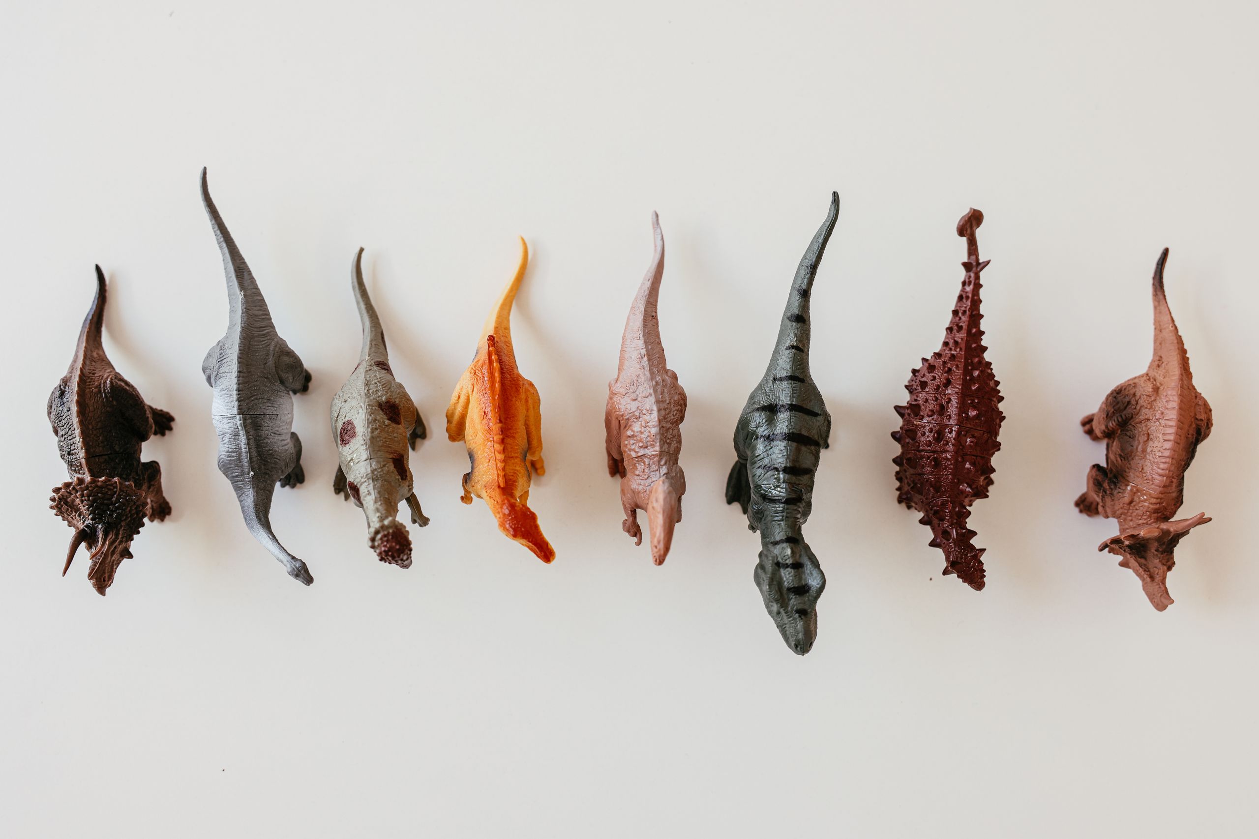 Top view of dinosaur toy figurines arranged on a white background, ideal for educational or play scenes.